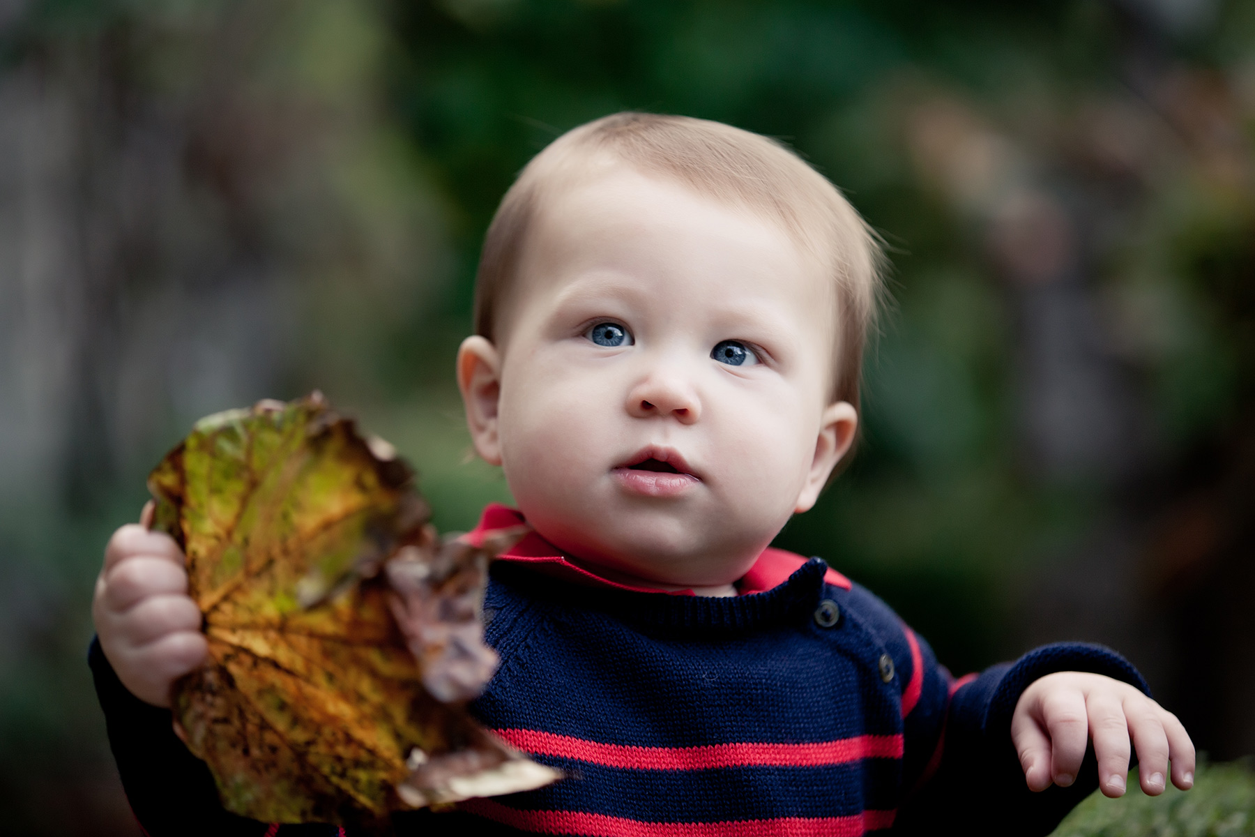 zinnphoto_fall